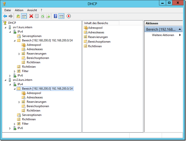 dhcp8